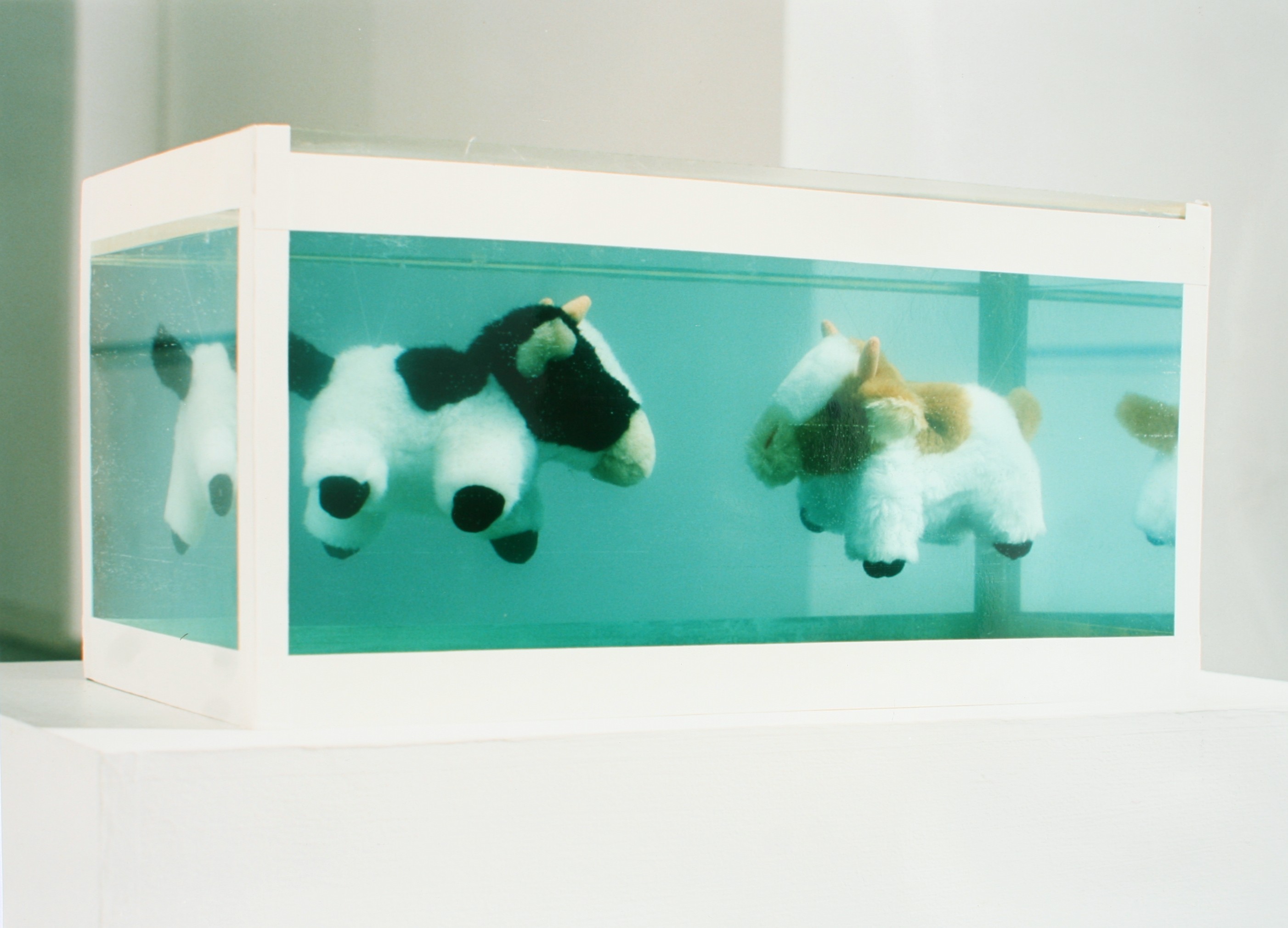 cow_tank