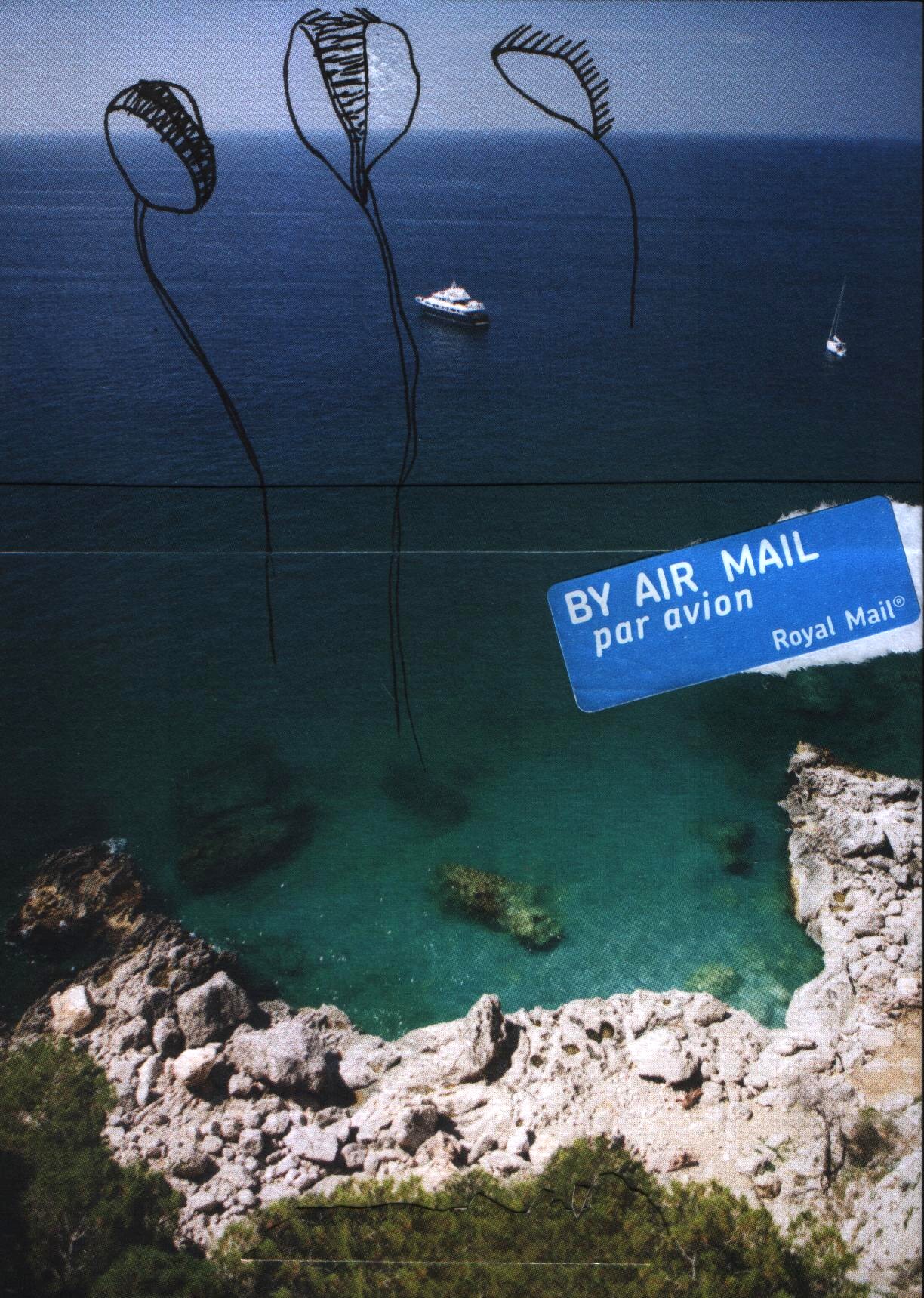 fly_trap_s