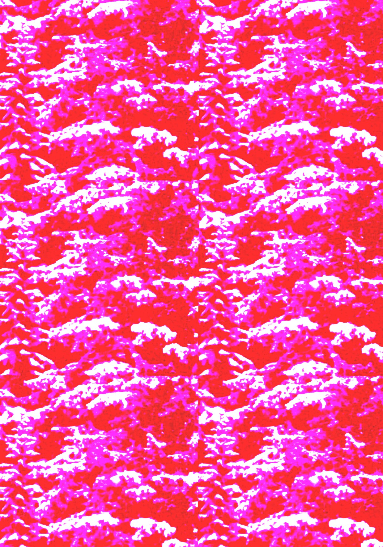 red_fir_camo-bethan_brewer